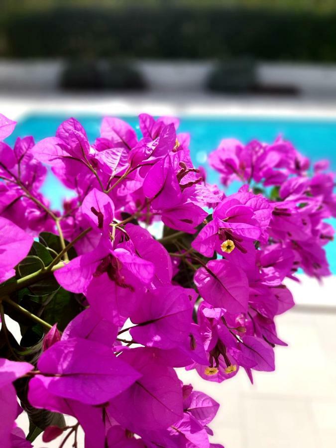 Holiday Home Villa Emma Debeljak Ngoại thất bức ảnh
